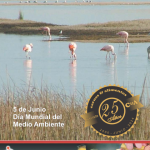 Esta es nuestra revista 86 y ya está disponible para que la veas en tu dispositivo